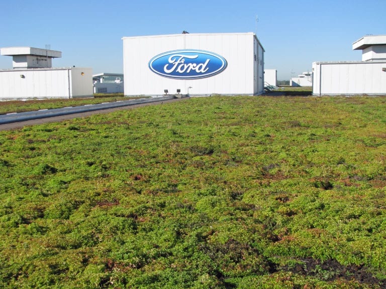 Azotea verde del complejo River Rouge de la Ford Motor Company. Dearborn, Michigan.