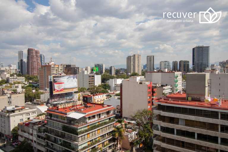 Las Azoteas Verdes Indirectas de Recuver®