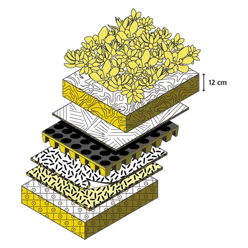 Jardines en macetas - Recuver