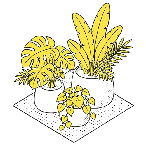 Jardines en macetas - Recuver